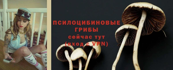 не бодяженный Касимов