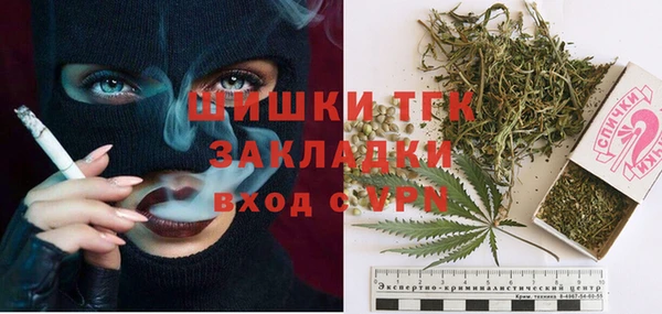 крисы Карпинск