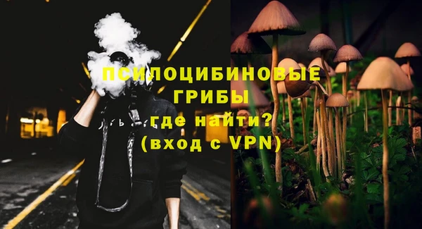 крисы Карпинск